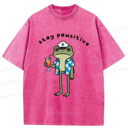 Baddiecat Optimistic Frog Washed T-shirt