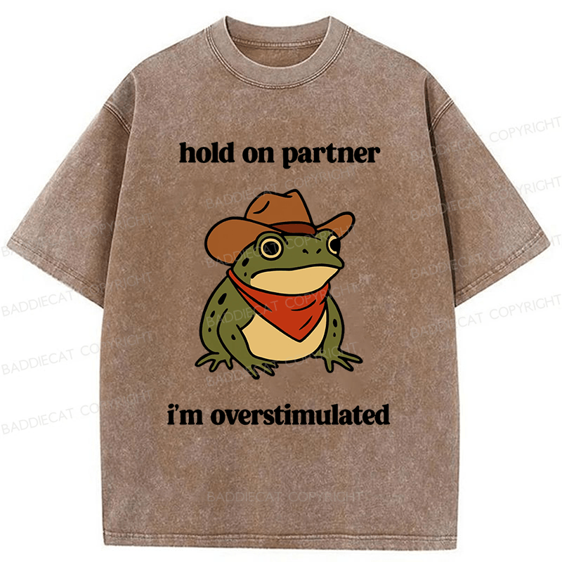 Baddiecat Hold On Partner I'm Overstimulated Frog Washed T-shirt