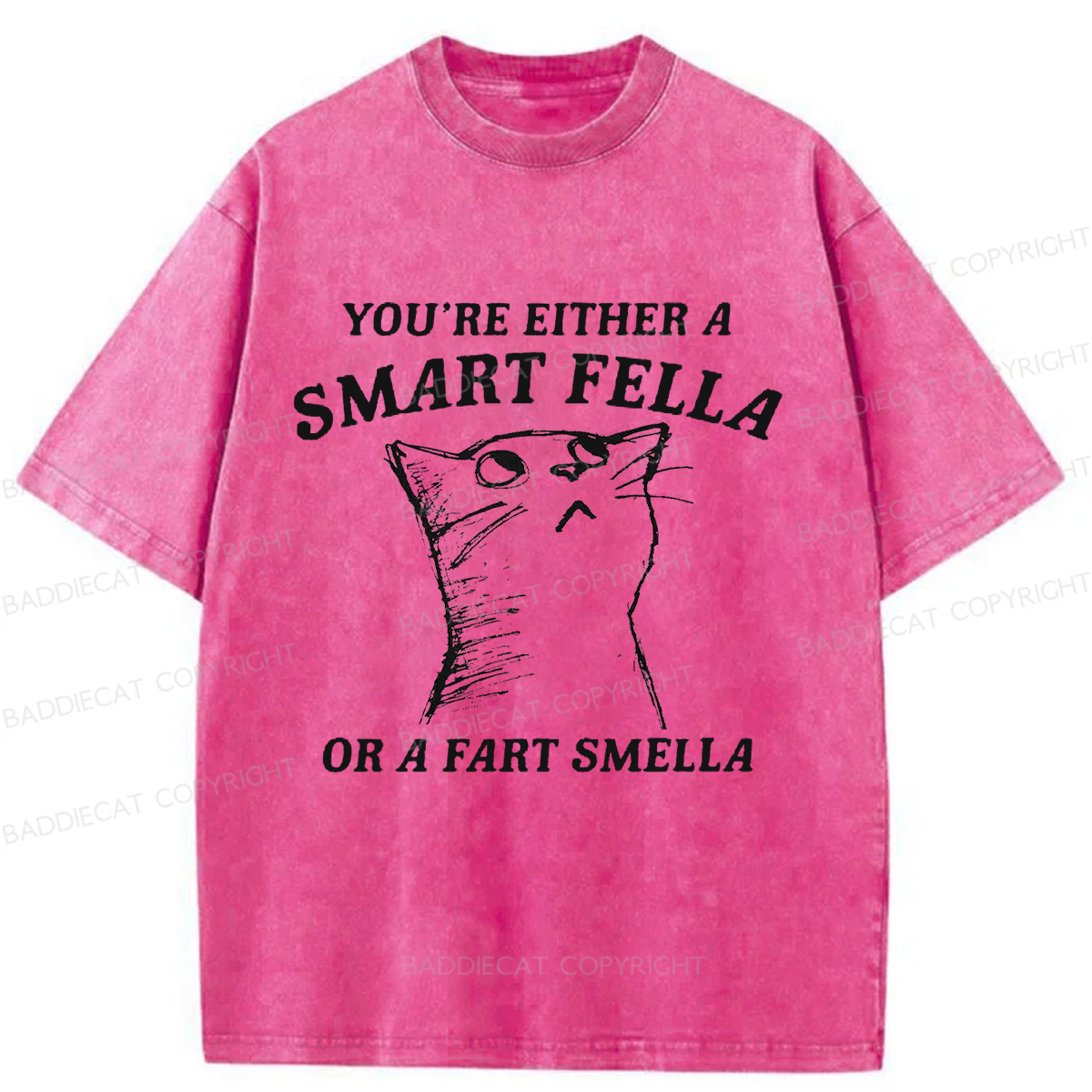 Baddiecat Disdain Cats Washed T-shirt