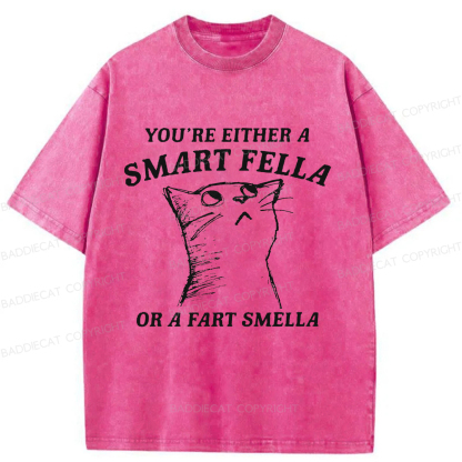 Baddiecat Disdain Cats Washed T-shirt