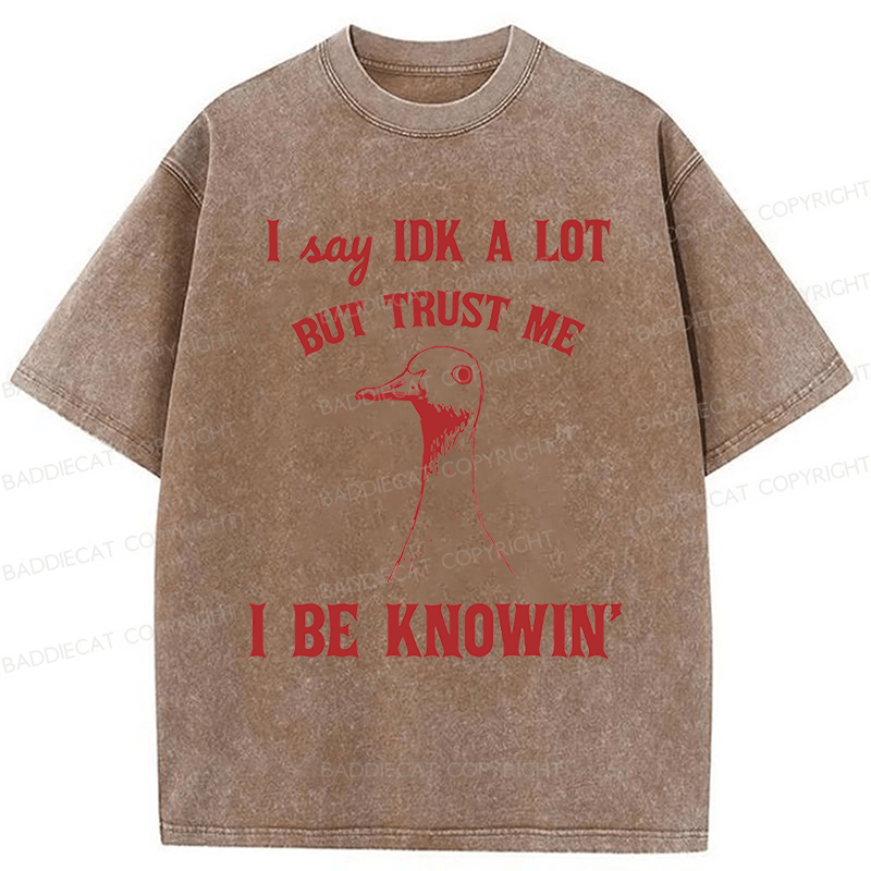 Baddiecat I Say IDK A Lot But Trust Me I Be Knowing  Washed T-shirt