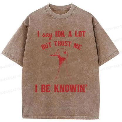 Baddiecat I Say IDK A Lot But Trust Me I Be Knowing  Washed T-shirt