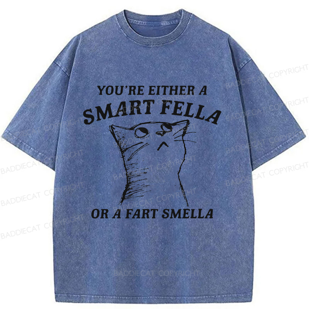 Baddiecat Disdain Cats Washed T-shirt