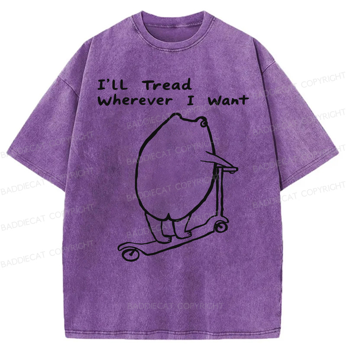 Baddiecat I'll Tread Wherever I Want Washed T-shirt
