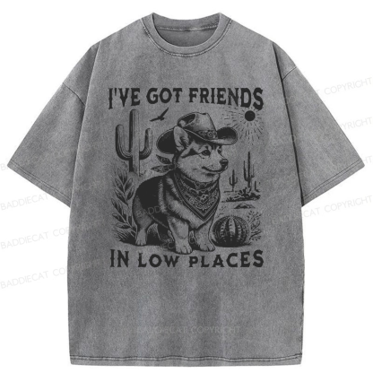 Baddiecat Funny I've Got Friends In Low Places Washed T-shirt