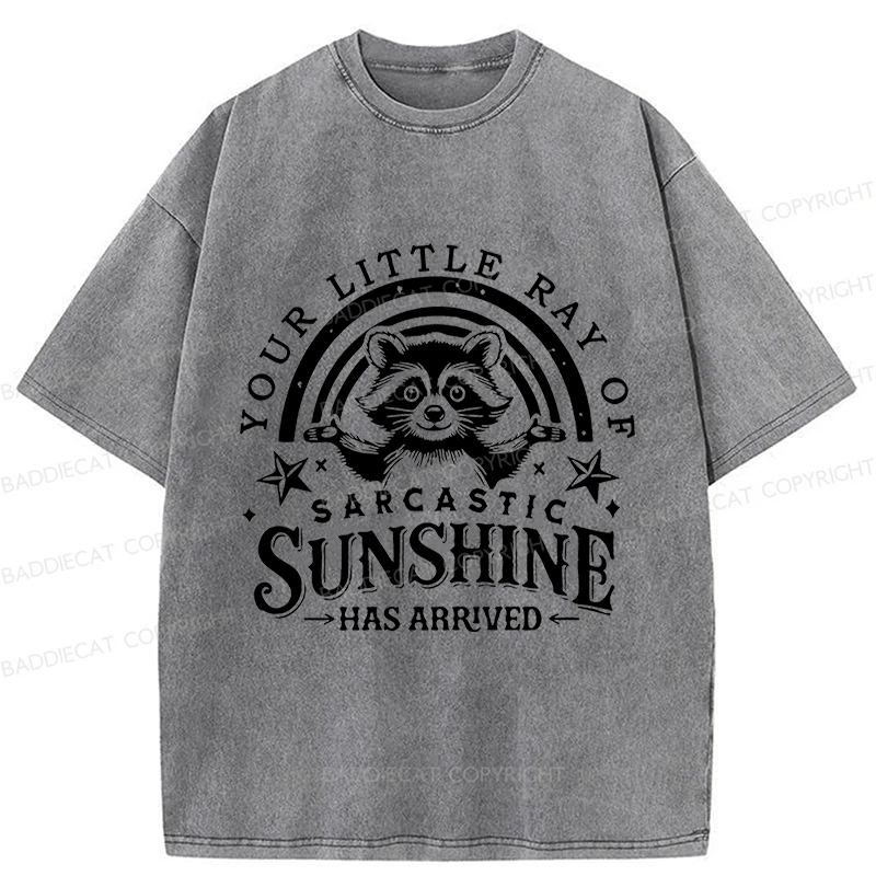 Baddiecat Your Little Ray Of Sarcastic Sunshine  Has Arrived Washed T-shirt