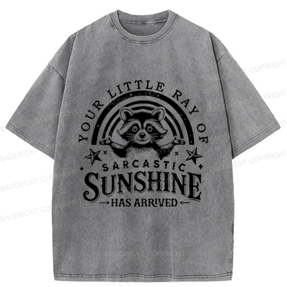 Baddiecat Your Little Ray Of Sarcastic Sunshine  Has Arrived Washed T-shirt