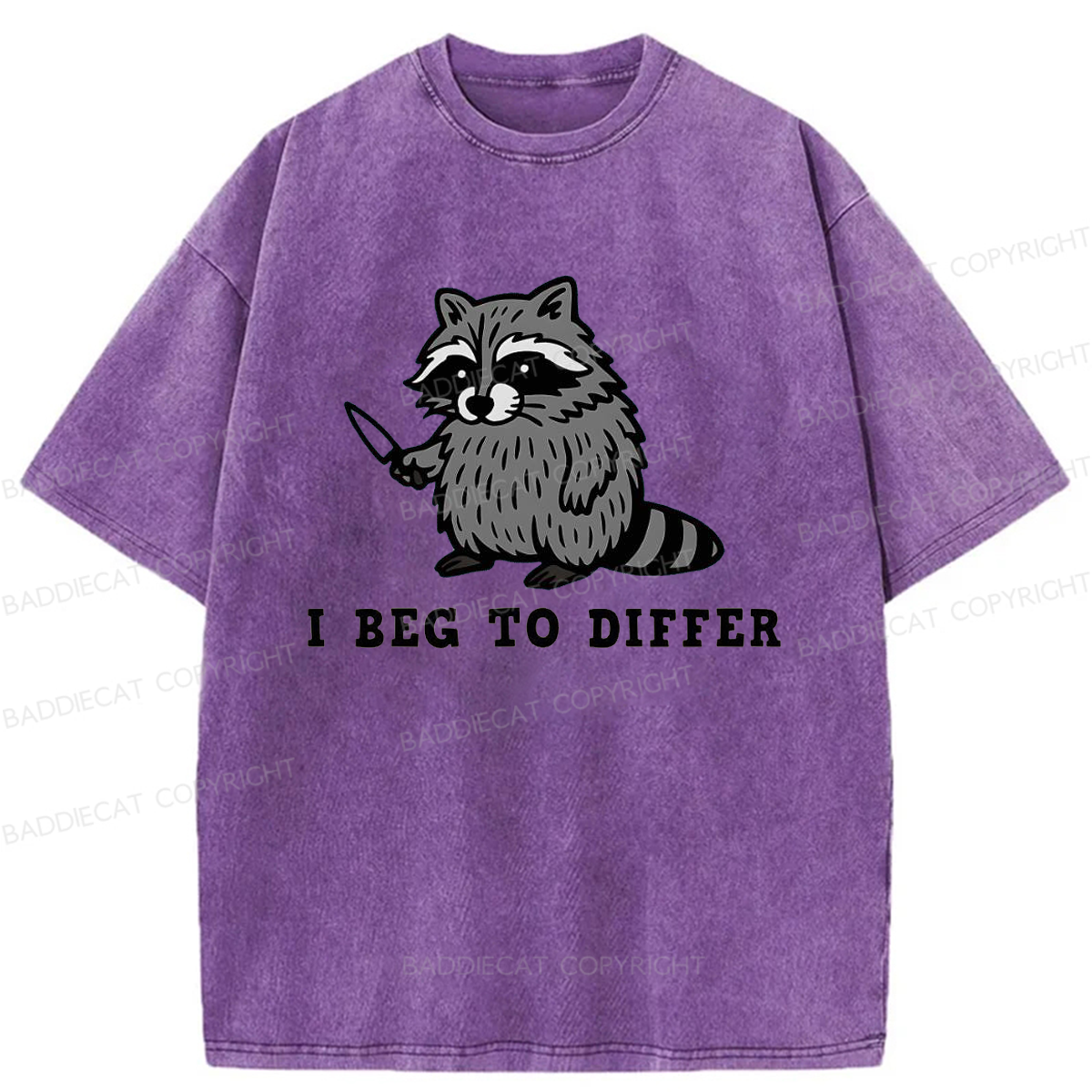 Baddiecat I Beg To Differ Washed T-shirt