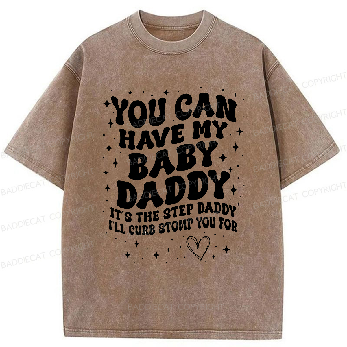 Baddiecat You Can Have My Baby Daddy Washed T-shirt