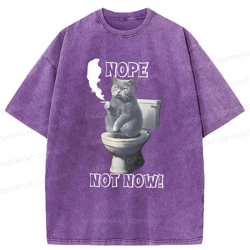 Baddiecat Cat Nope Not Now Washed T-Shirt