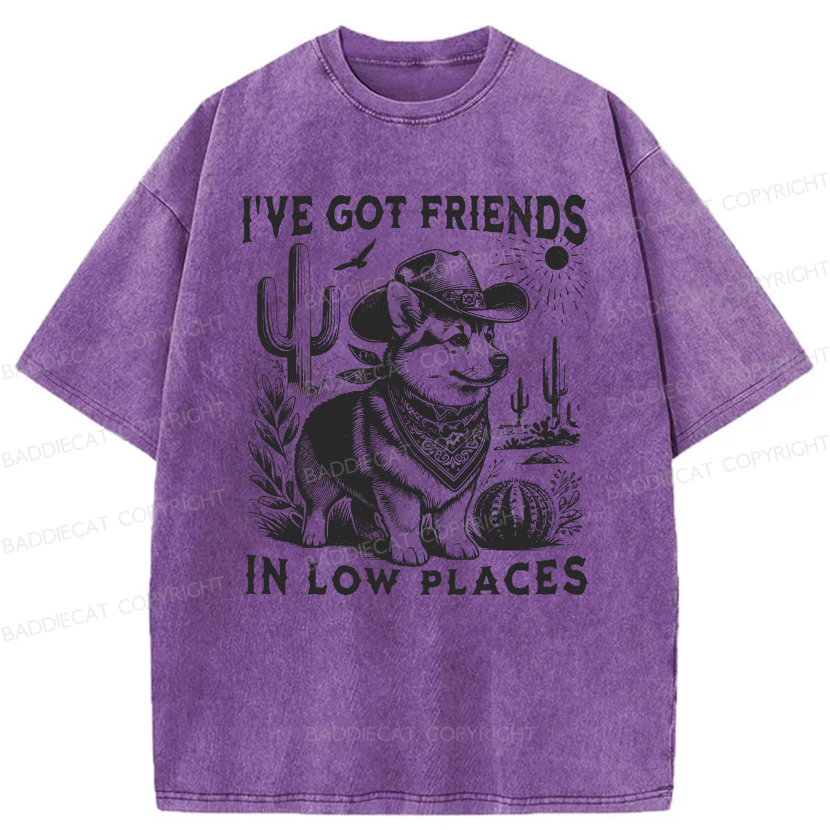 Baddiecat Funny I've Got Friends In Low Places Washed T-shirt