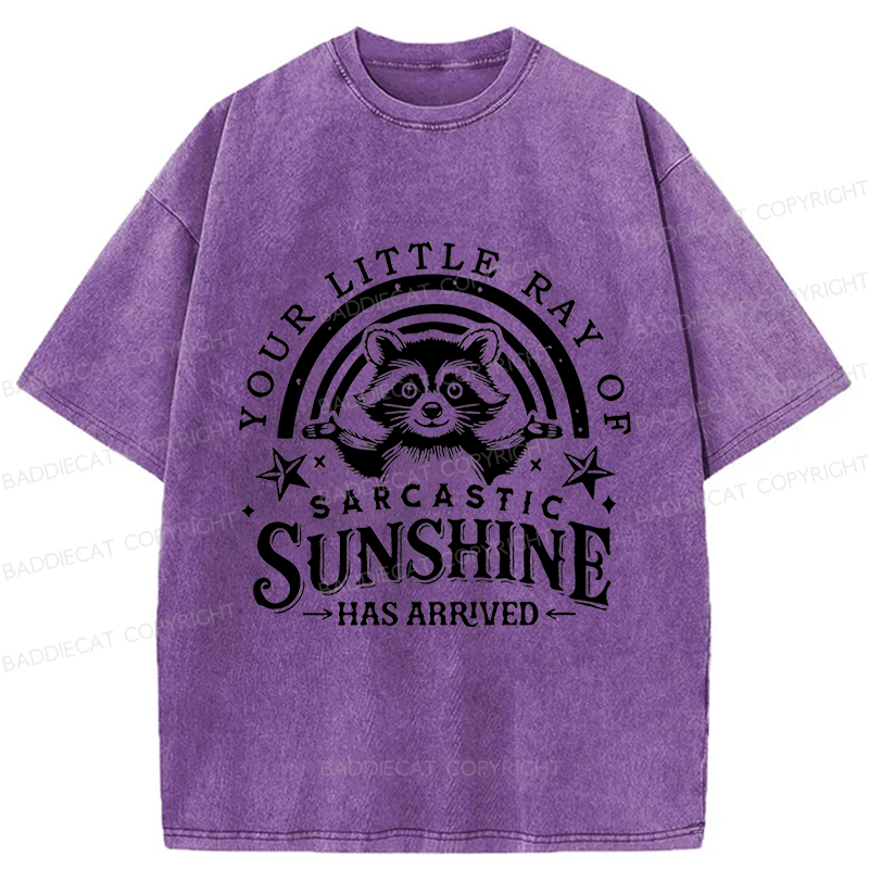 Baddiecat Your Little Ray Of Sarcastic Sunshine  Has Arrived Washed T-shirt