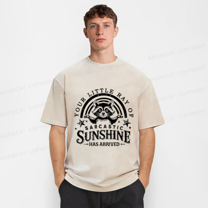 Baddiecat Your Little Ray Of Sarcastic Sunshine  Has Arrived Washed T-shirt