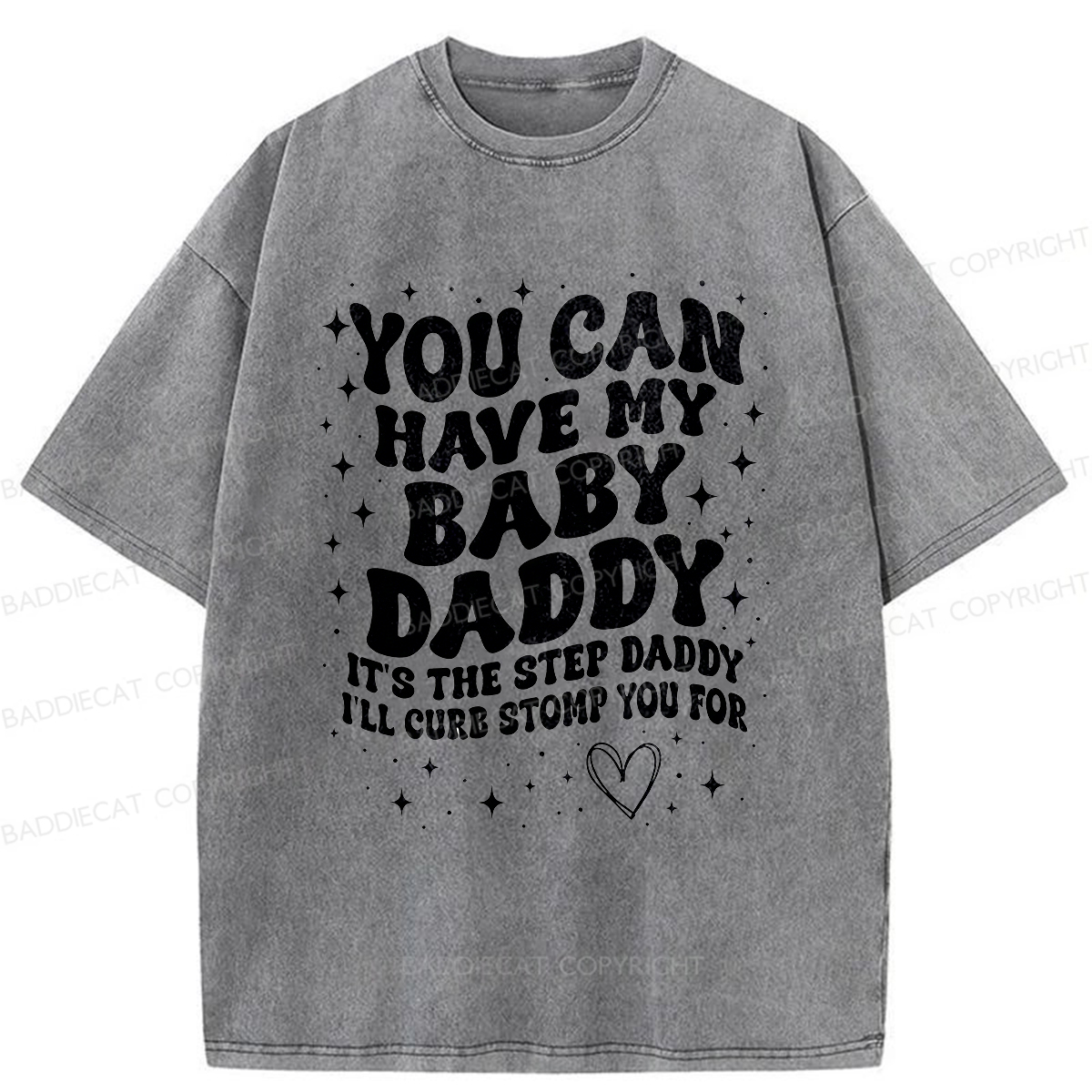 Baddiecat You Can Have My Baby Daddy Washed T-shirt