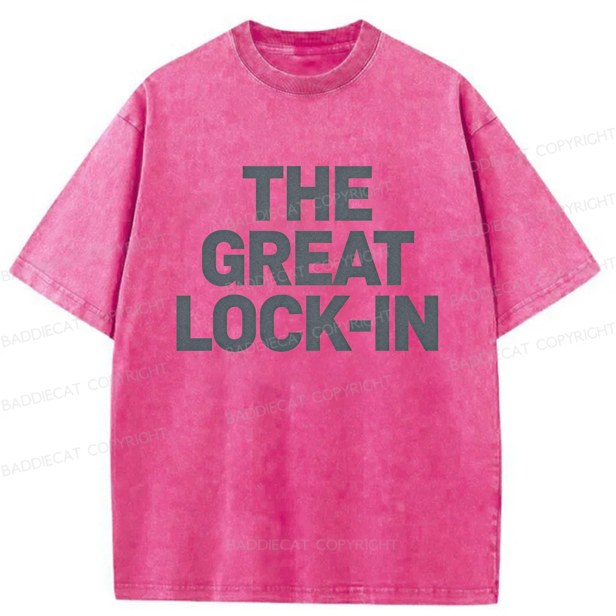 Baddiecat The Great Lock-In Washed T-shirt