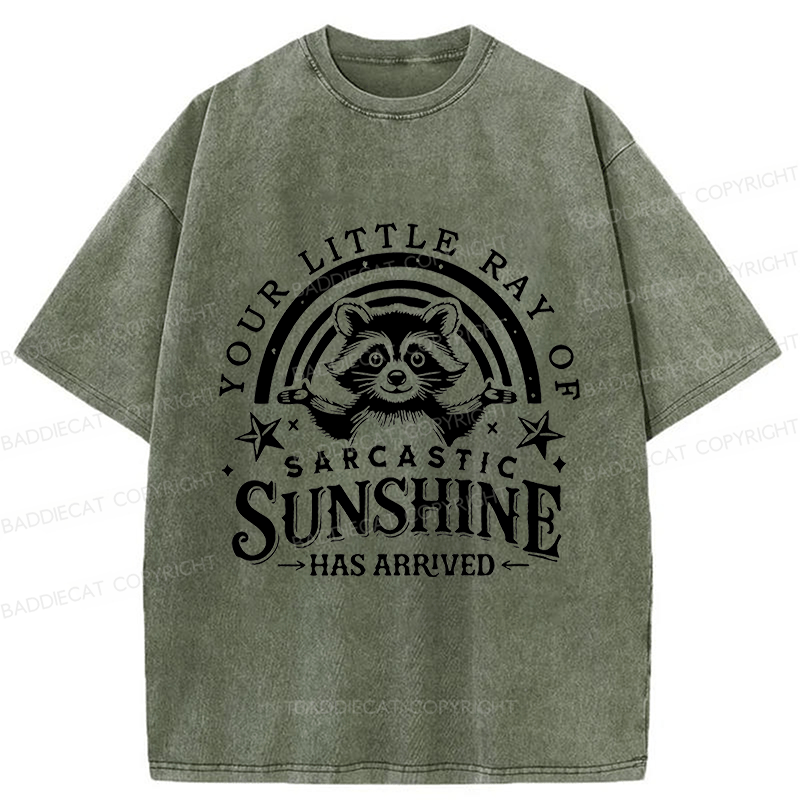 Baddiecat Your Little Ray Of Sarcastic Sunshine  Has Arrived Washed T-shirt