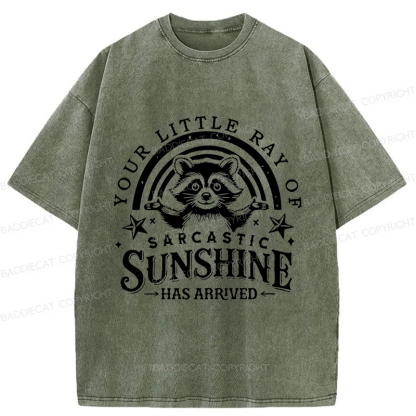 Baddiecat Your Little Ray Of Sarcastic Sunshine  Has Arrived Washed T-shirt