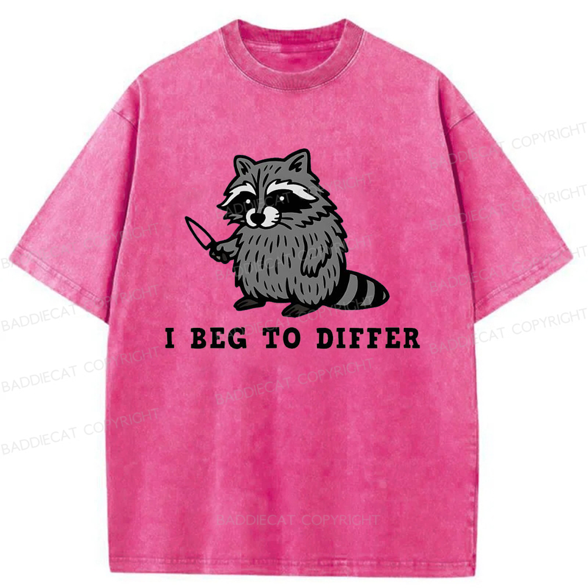 Baddiecat I Beg To Differ Washed T-shirt