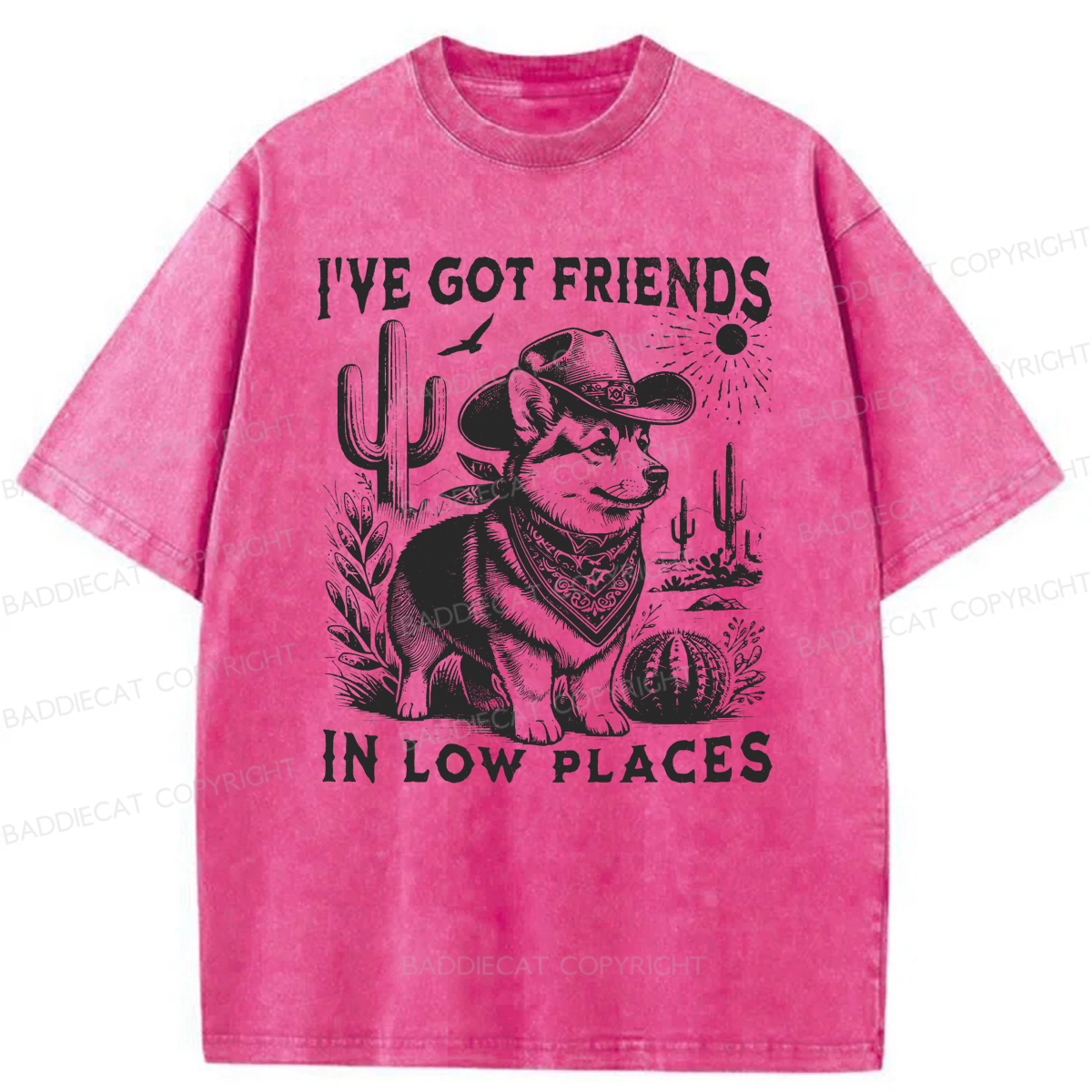 Baddiecat Funny I've Got Friends In Low Places Washed T-shirt