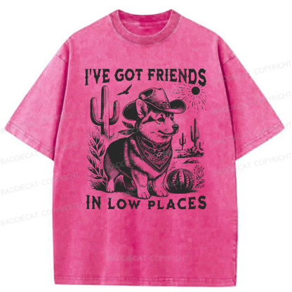 Baddiecat Funny I've Got Friends In Low Places Washed T-shirt