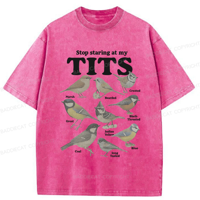 Baddiecat Stop Staring At My Tits Birds Washed T-shirt