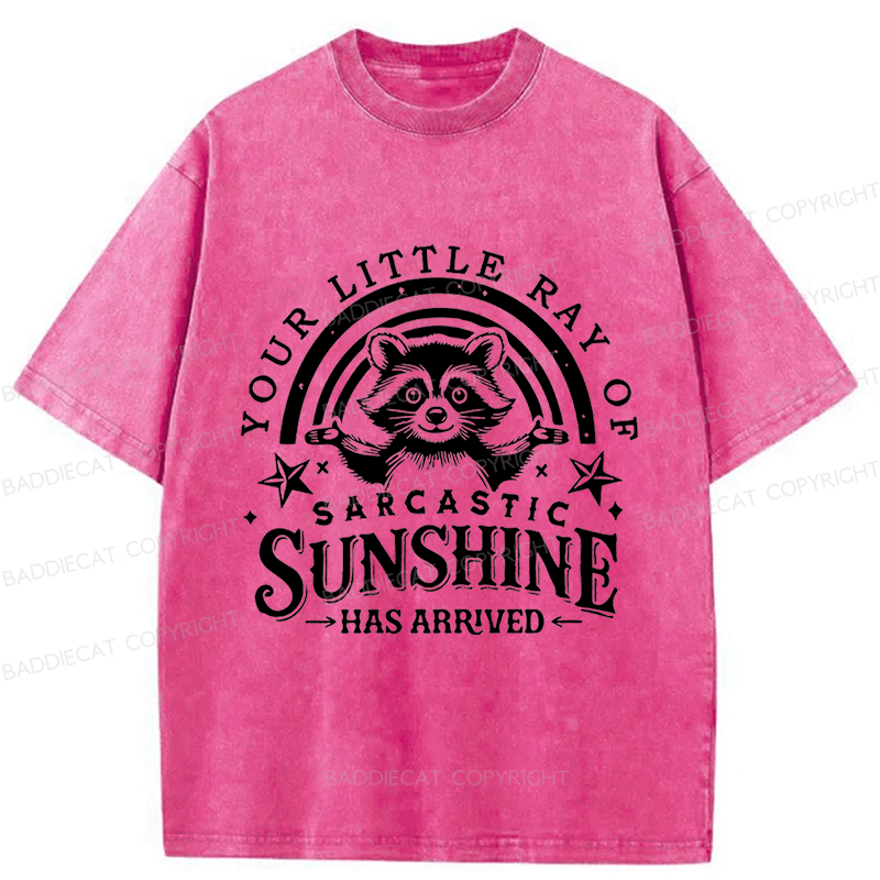 Baddiecat Your Little Ray Of Sarcastic Sunshine  Has Arrived Washed T-shirt