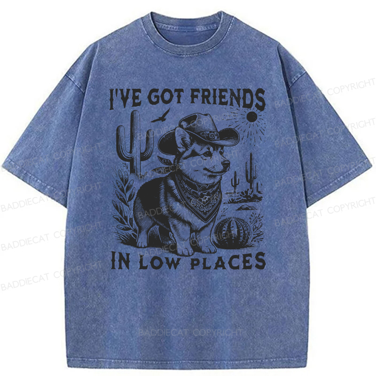 Baddiecat Funny I've Got Friends In Low Places Washed T-shirt