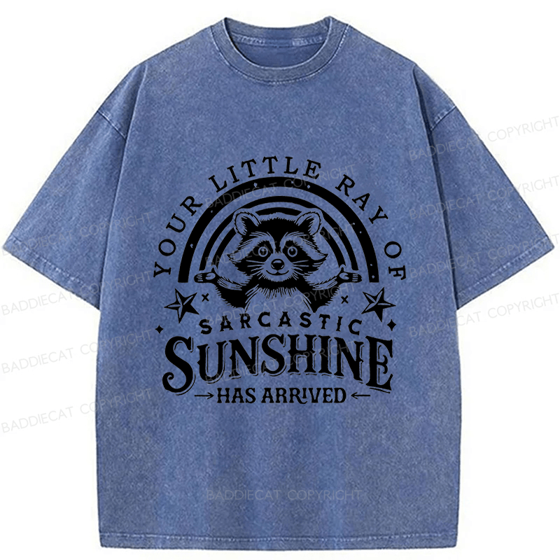 Baddiecat Your Little Ray Of Sarcastic Sunshine  Has Arrived Washed T-shirt