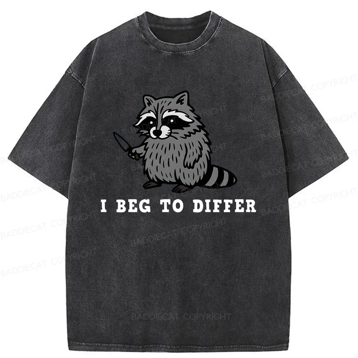 Baddiecat I Beg To Differ Washed T-shirt