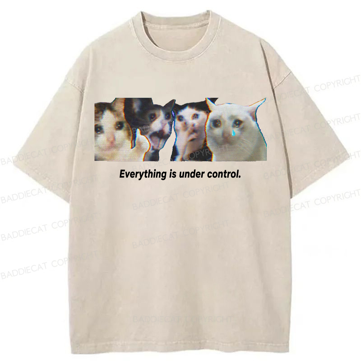 Baddiecat Cats Everything Is Under Control Washed T-shirt