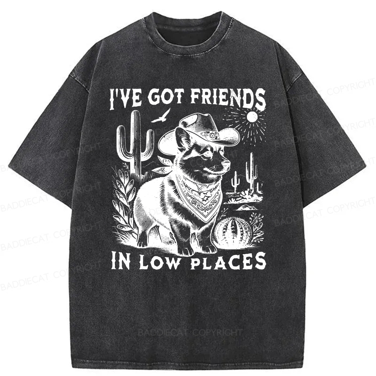 Baddiecat Funny I've Got Friends In Low Places Washed T-shirt
