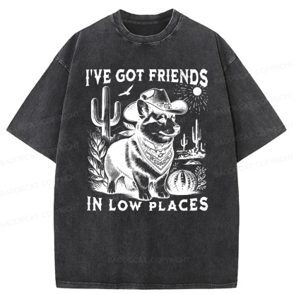 Baddiecat Funny I've Got Friends In Low Places Washed T-shirt