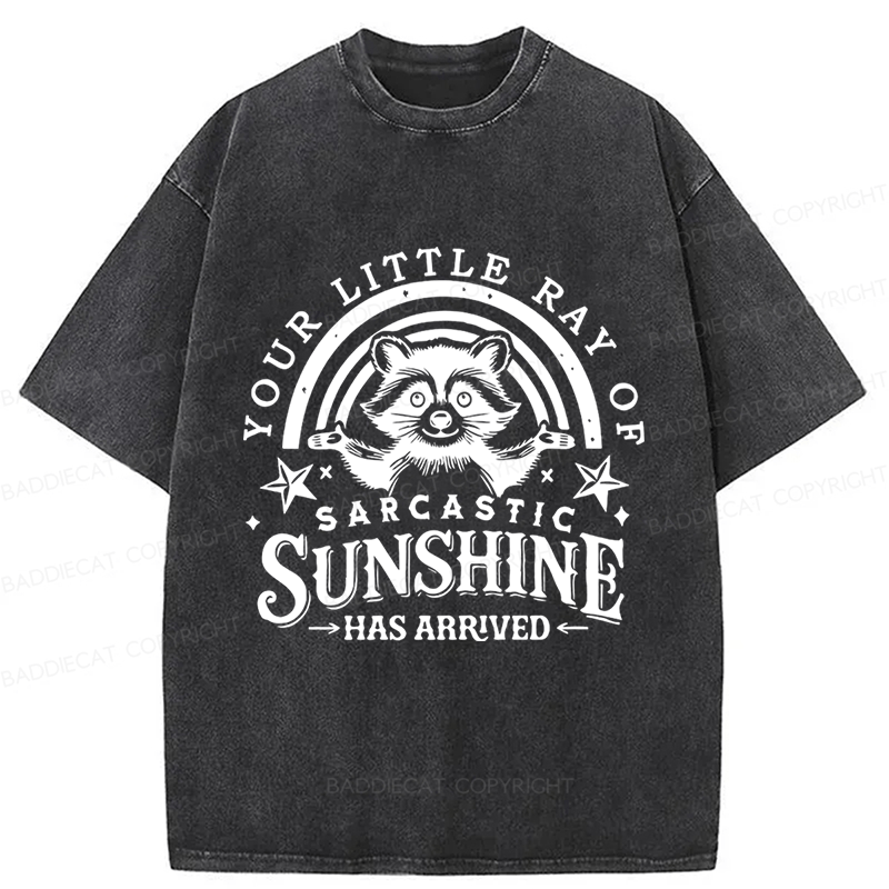 Baddiecat Your Little Ray Of Sarcastic Sunshine  Has Arrived Washed T-shirt