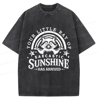 Baddiecat Your Little Ray Of Sarcastic Sunshine  Has Arrived Washed T-shirt