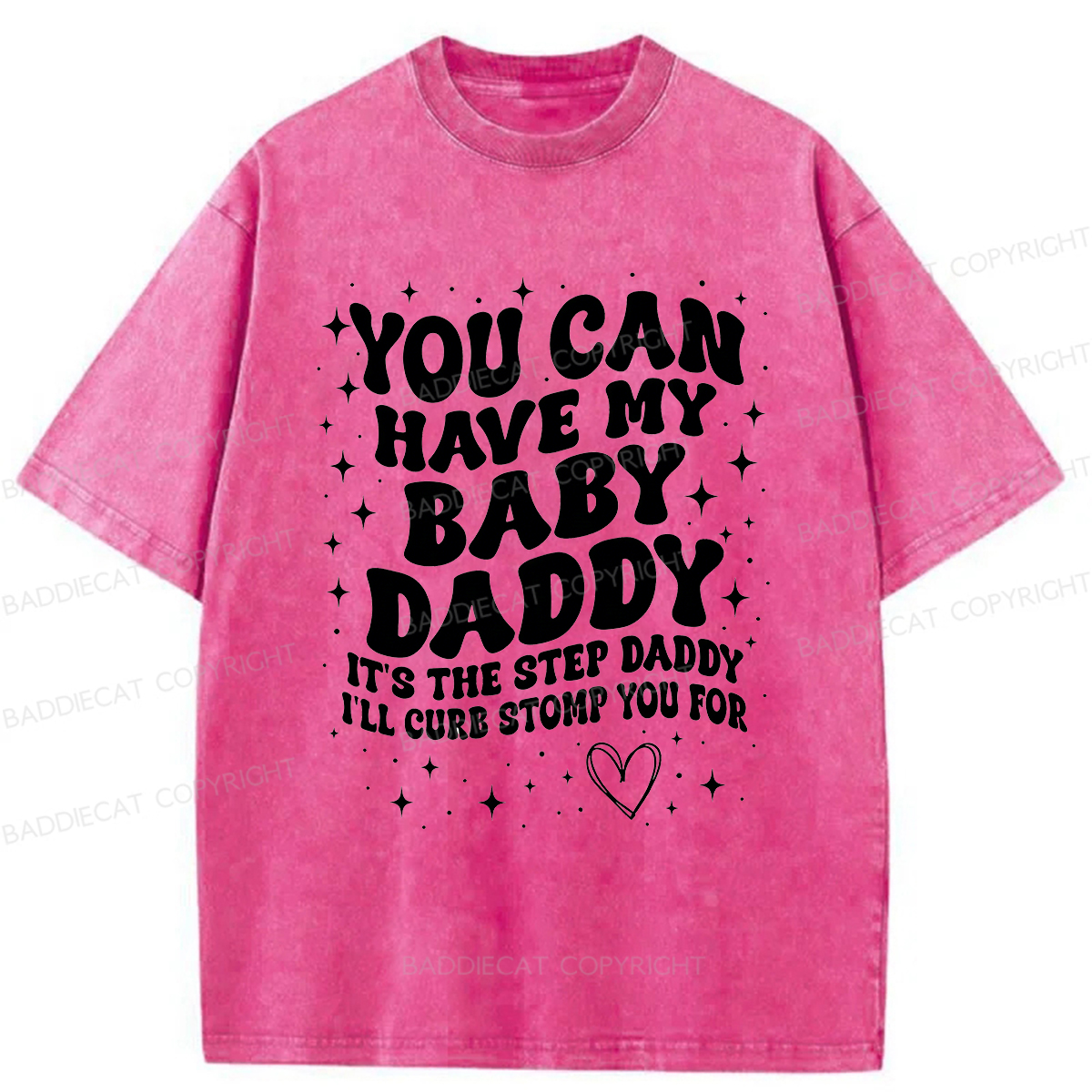 Baddiecat You Can Have My Baby Daddy Washed T-shirt