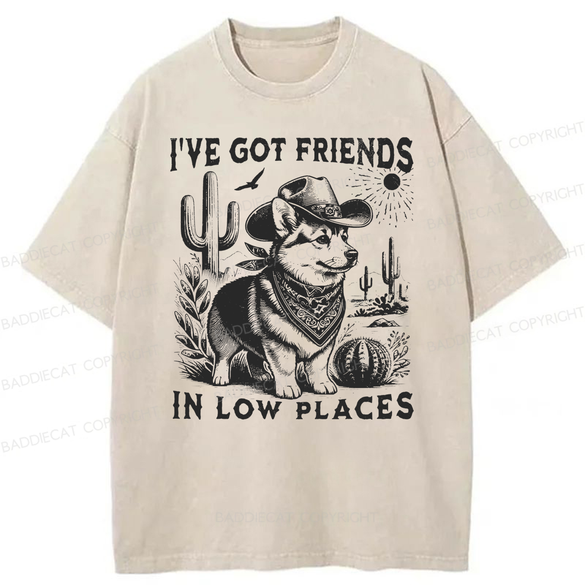 Baddiecat Funny I've Got Friends In Low Places Washed T-shirt