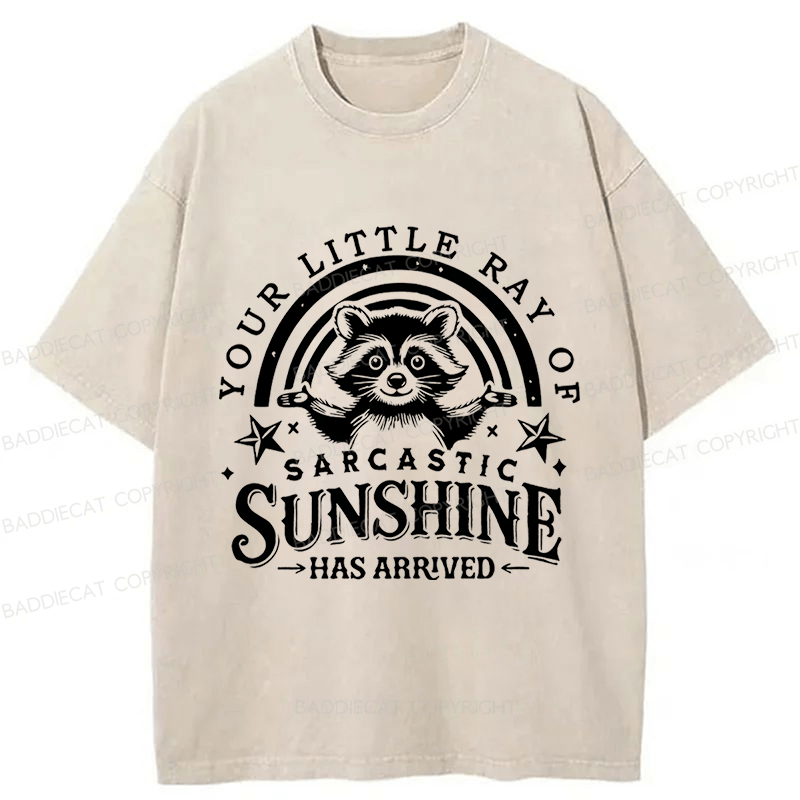 Baddiecat Your Little Ray Of Sarcastic Sunshine Has Arrived Washed T-shirt