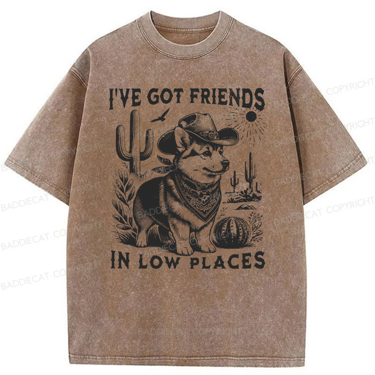 Baddiecat Funny I've Got Friends In Low Places Washed T-shirt