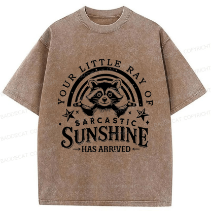 Baddiecat Your Little Ray Of Sarcastic Sunshine  Has Arrived Washed T-shirt