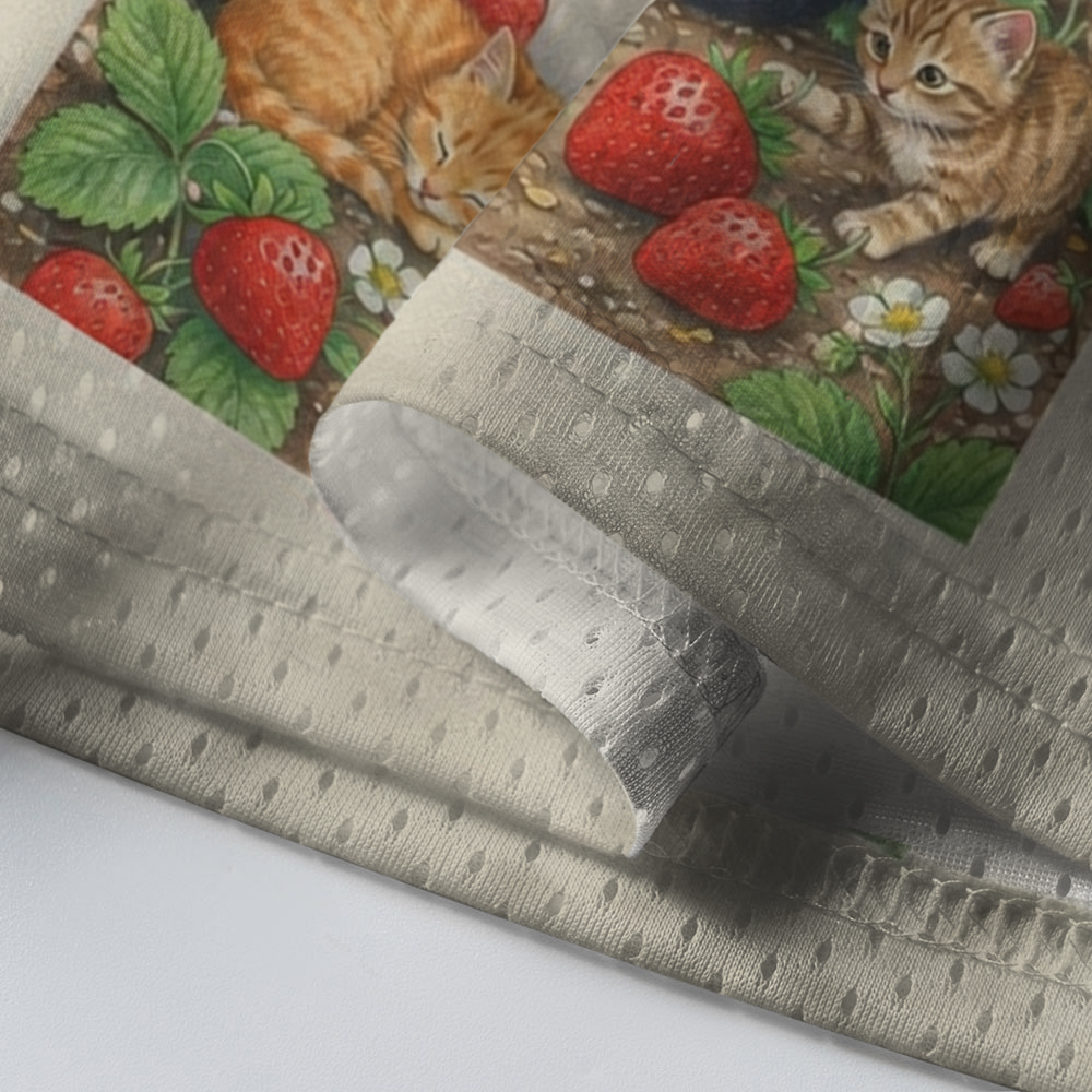 Baddiecat Strawberry Kittens Mesh Jersey