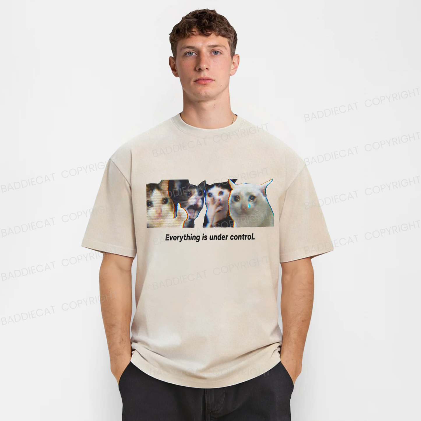Baddiecat Cats Everything Is Under Control Washed T-shirt