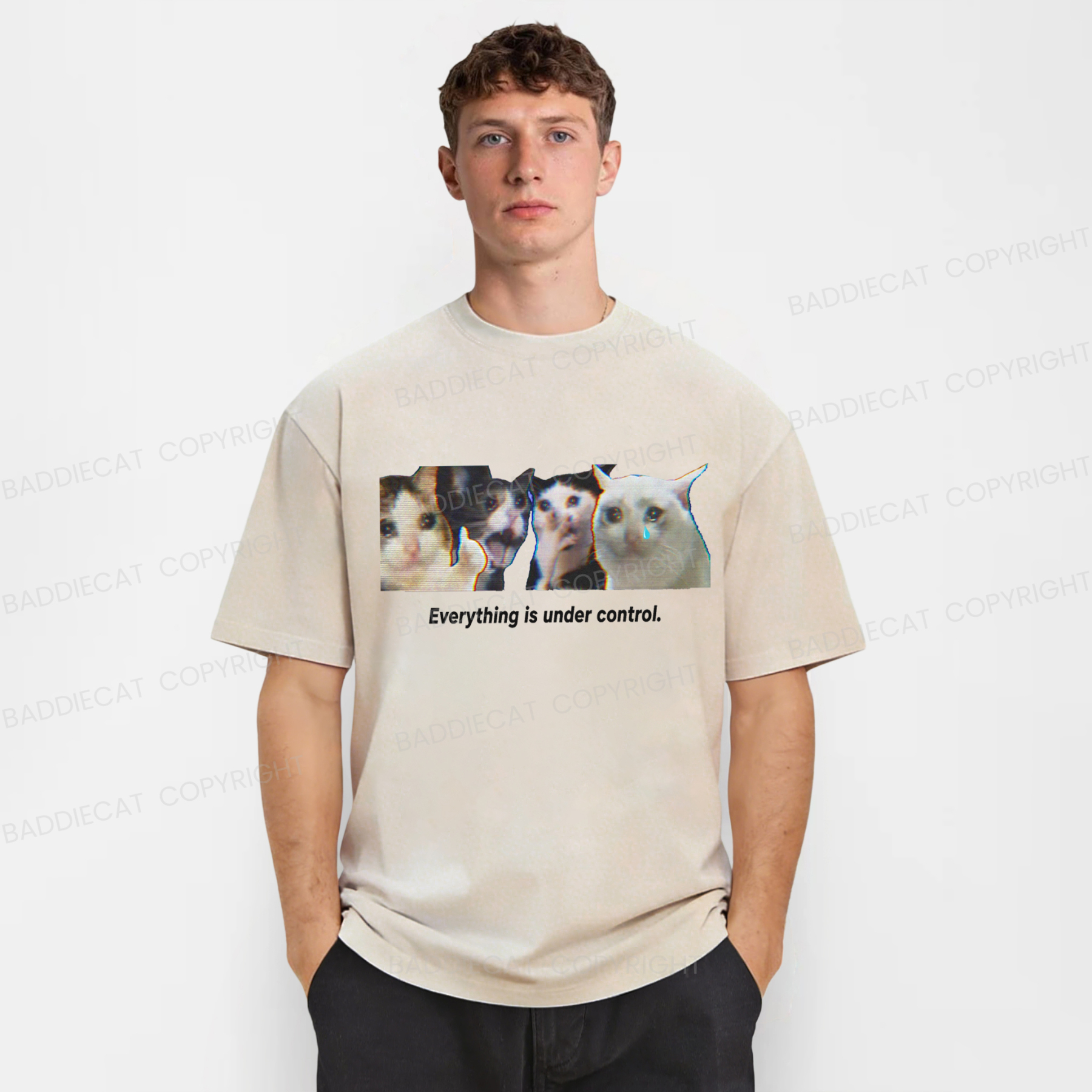 Baddiecat Cats Everything Is Under Control Washed T-shirt