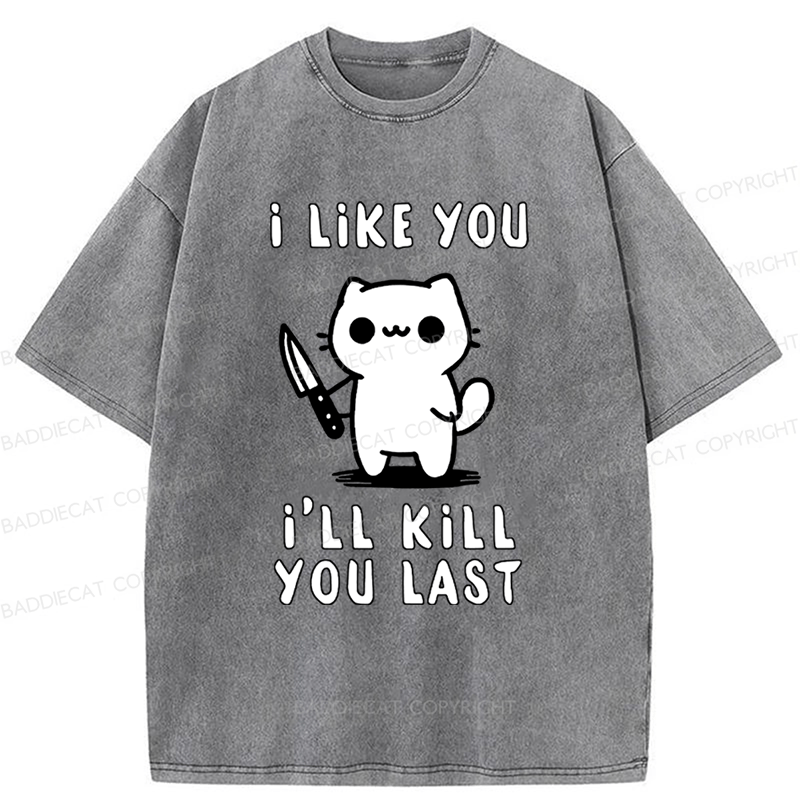 Baddiecat Cat I Like You I'll Kill You Last Washed T-shirt