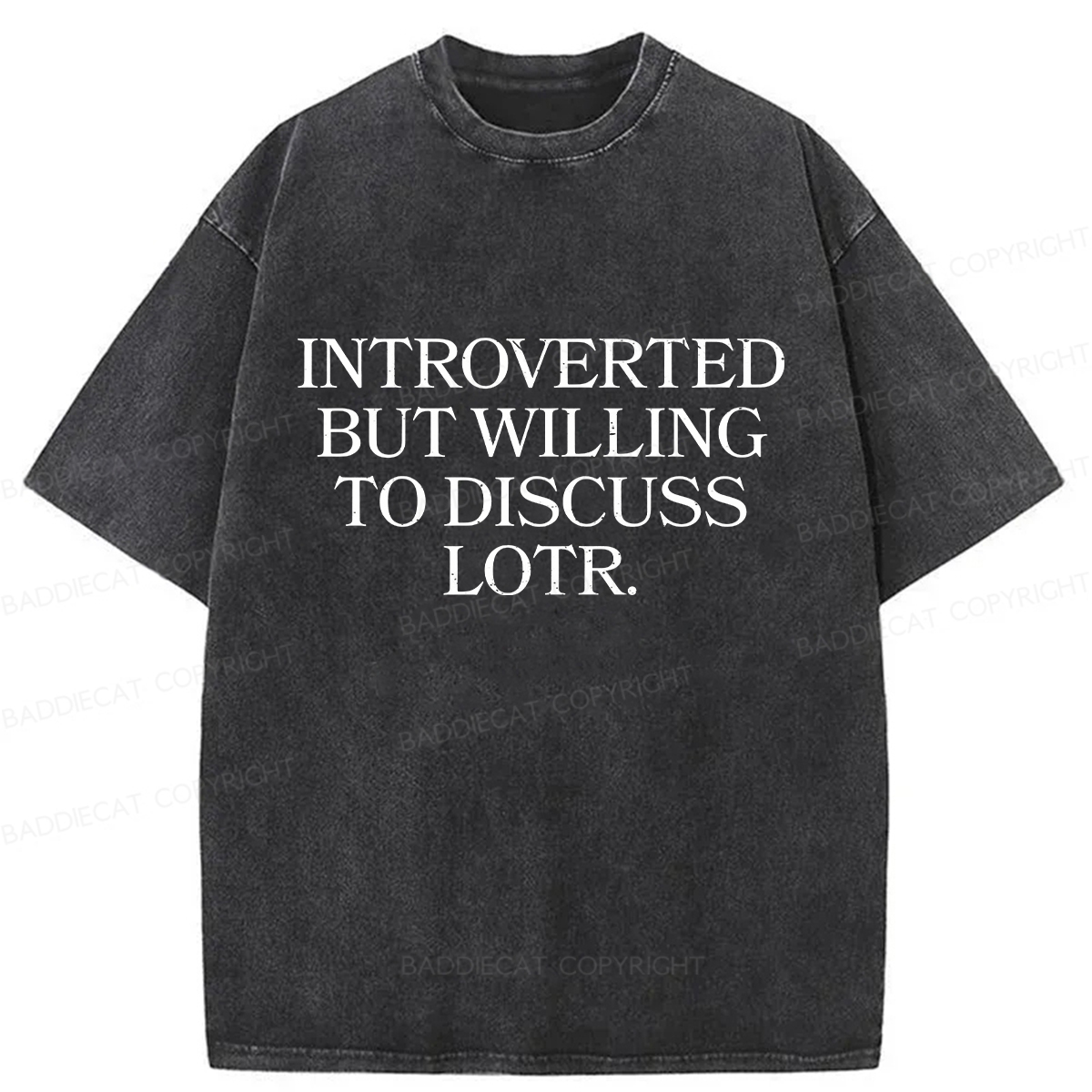 Baddiecat Introverted But Willing To Discuss Lotr Washed T-Shirt
