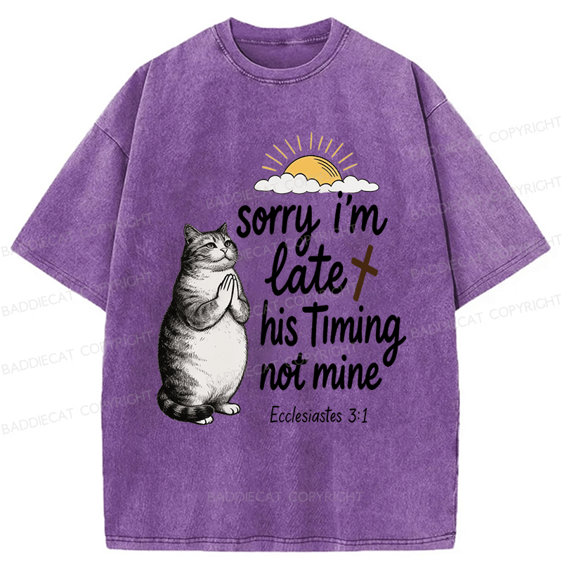 Baddiecat God's Timing Not Mine Washed T-shirt