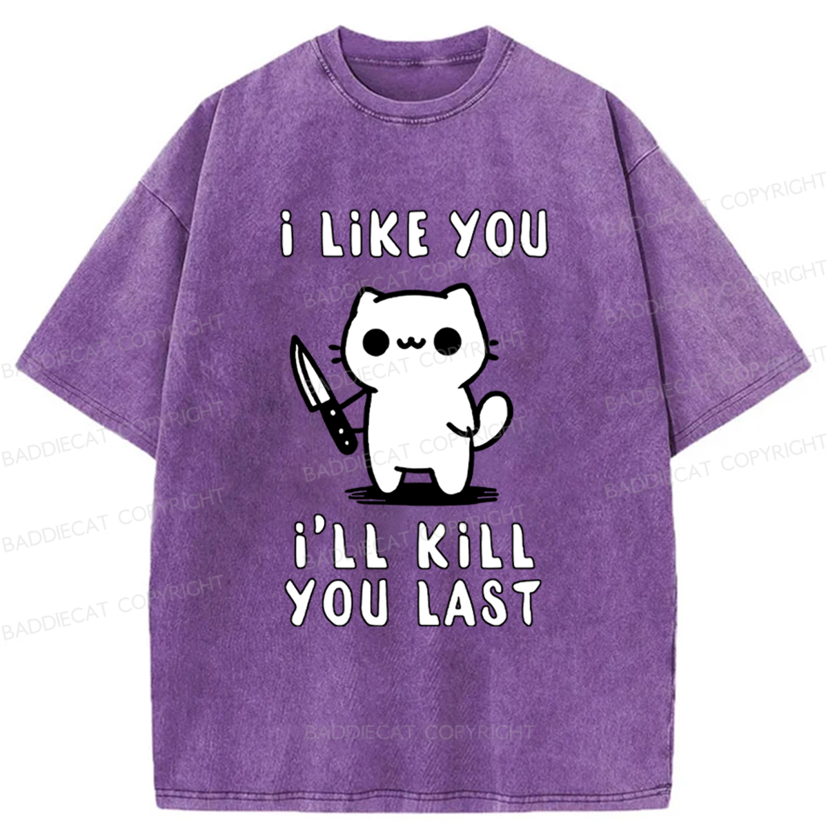 Baddiecat Cat I Like You I'll Kill You Last Washed T-shirt
