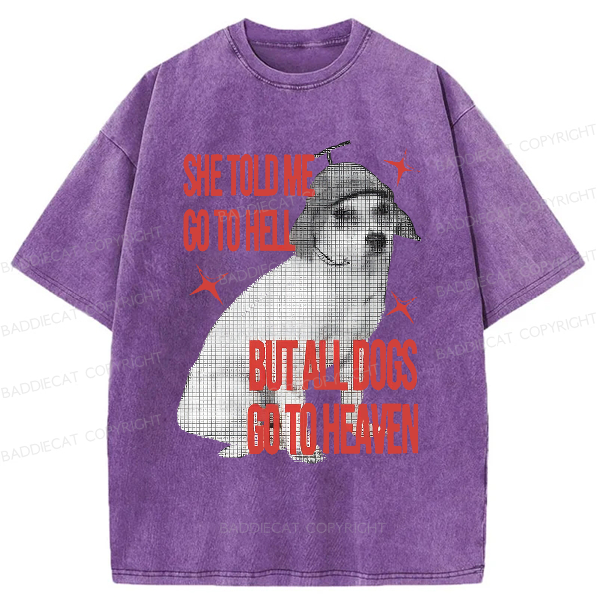 Baddiecat All Dogs Go To Heaven Washed T-shirt