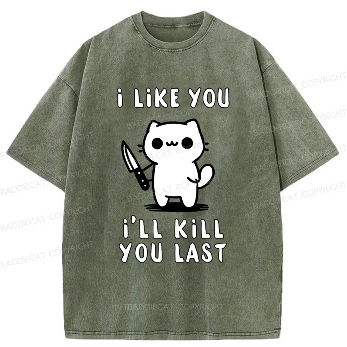Baddiecat Cat I Like You I'll Kill You Last Washed T-shirt