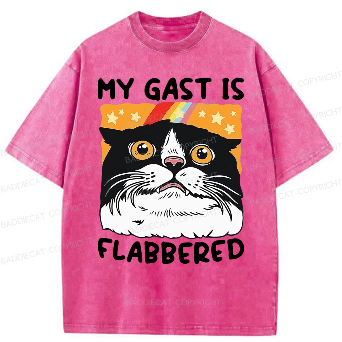 Baddiecat My Gast Is Flabbered Washed T-shirt