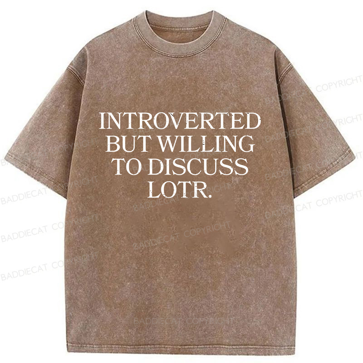 Baddiecat Introverted But Willing To Discuss Lotr Washed T-Shirt